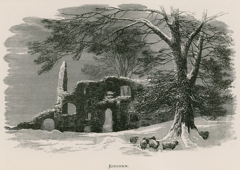 Kirkstall Abbey, Küche von Alexander Francis Lydon