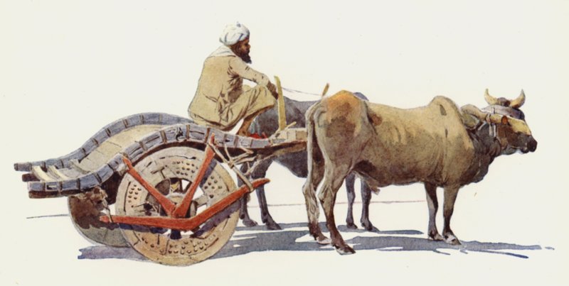 Ein Ochsenkarren, Jodhpur von Alexander Henry Hallam Murray