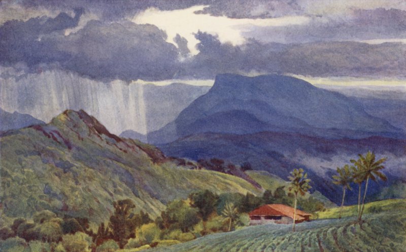 Ein tropischer Schauer von Alexander Henry Hallam Murray