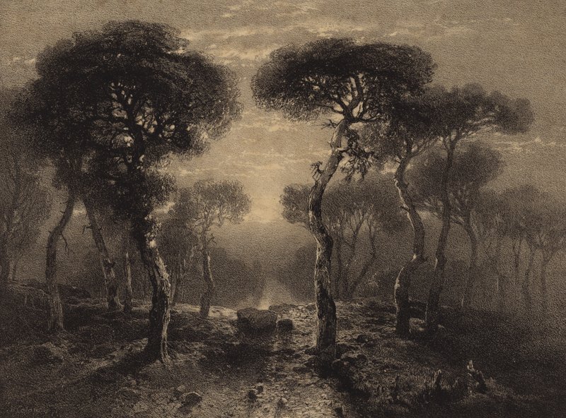 Landschaft mit Bäumen von Alexandre Calame