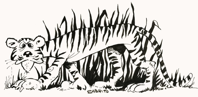 Faktenfinder: Warum sind Tiger gestreift? von Alf Saporito