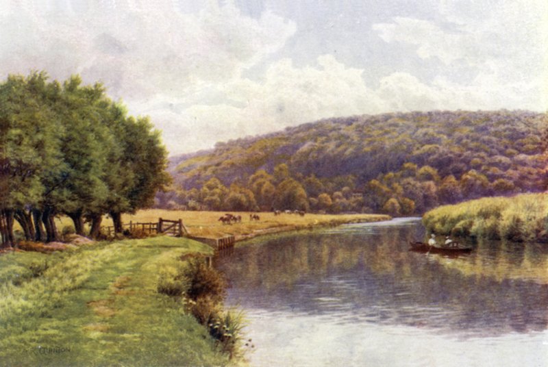 Quarry Woods, Marlow von Alfred Robert Quinton