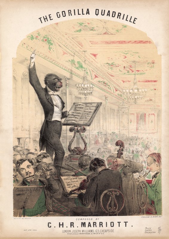 Der Gorilla-Quadrille von Alfred Concanen