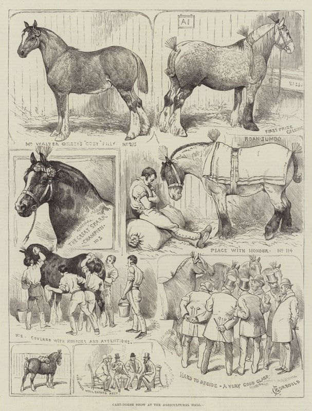 Kaltblutpferdeschau in der Landwirtschaftshalle von Alfred Courbould