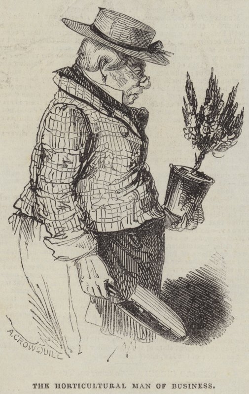 Der gärtnerische Geschäftsmann von Alfred Crowquill