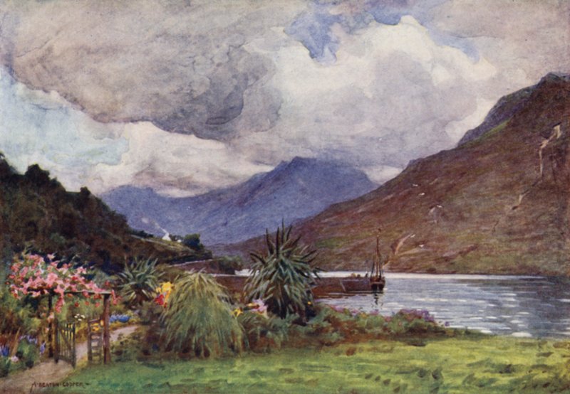 Ein Garten in Leenane, Connemara von Alfred Heaton Cooper