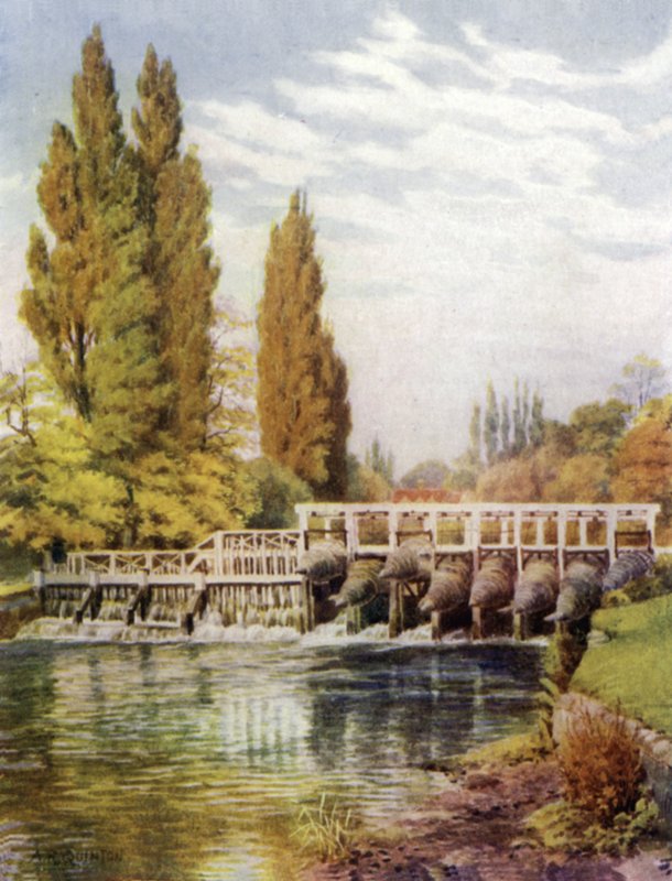 Aalfallen bei Hedsor von Alfred Robert Quinton