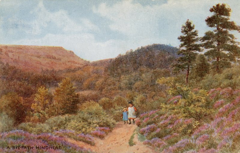 Hindhead von Alfred Robert Quinton