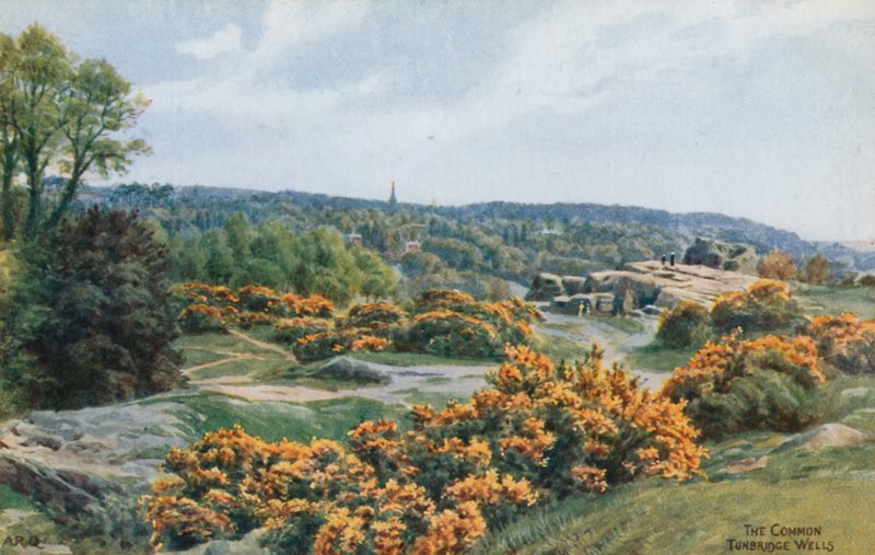 The Common, Tunbridge Wells von Alfred Robert Quinton