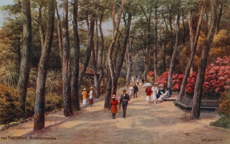 Der Pinienweg, Bournemouth von Alfred Robert Quinton