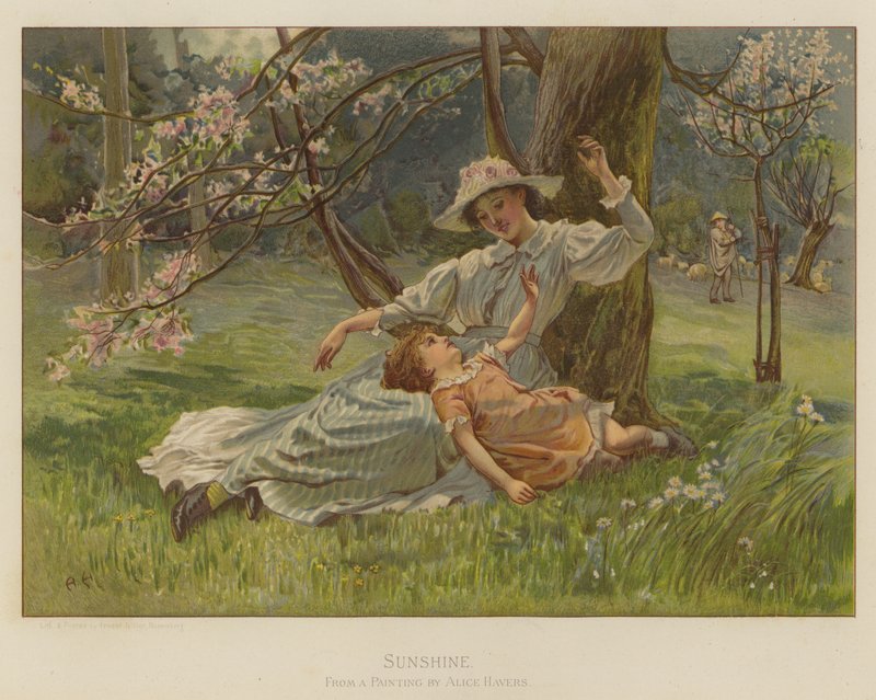 Sonnenschein von Alice Havers