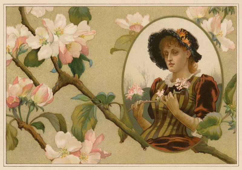 Der eingebildete Apfelzweig von Alice Havers