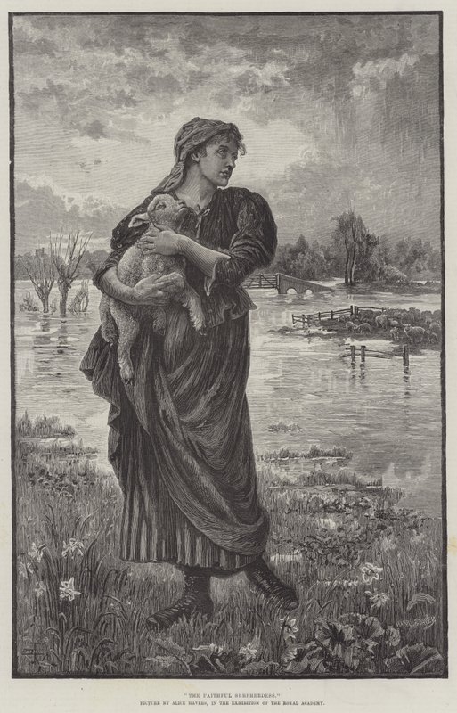 Die treue Schäferin von Alice Havers