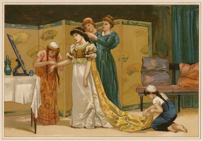 Die weißen Schwäne von Alice Havers