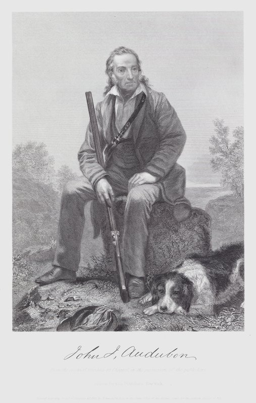 John James Audubon von Alonzo (after) Chappel
