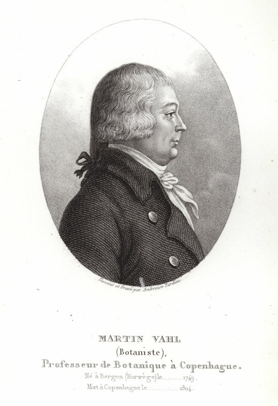 Martin Vahl von Ambroise Tardieu