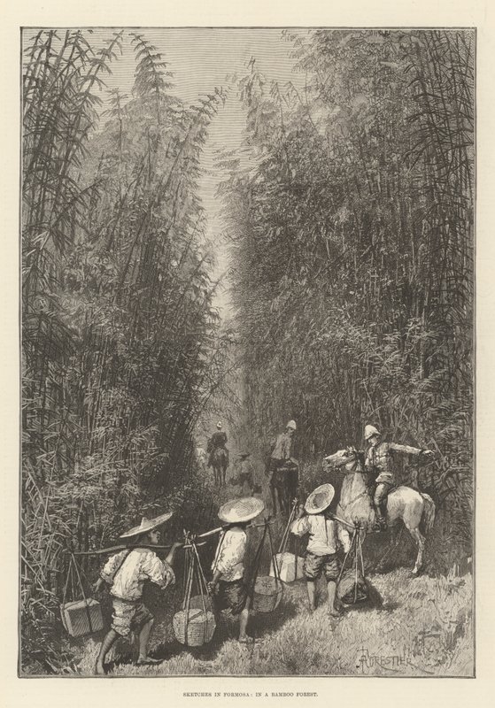 Skizzen in Formosa, in einem Bambuswald von Amedee Forestier
