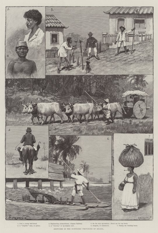 Skizzen in den nördlichen Provinzen Brasiliens von Amedee Forestier