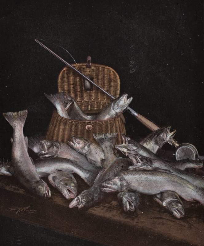 Oregon: Angeln von American Photographer (after)