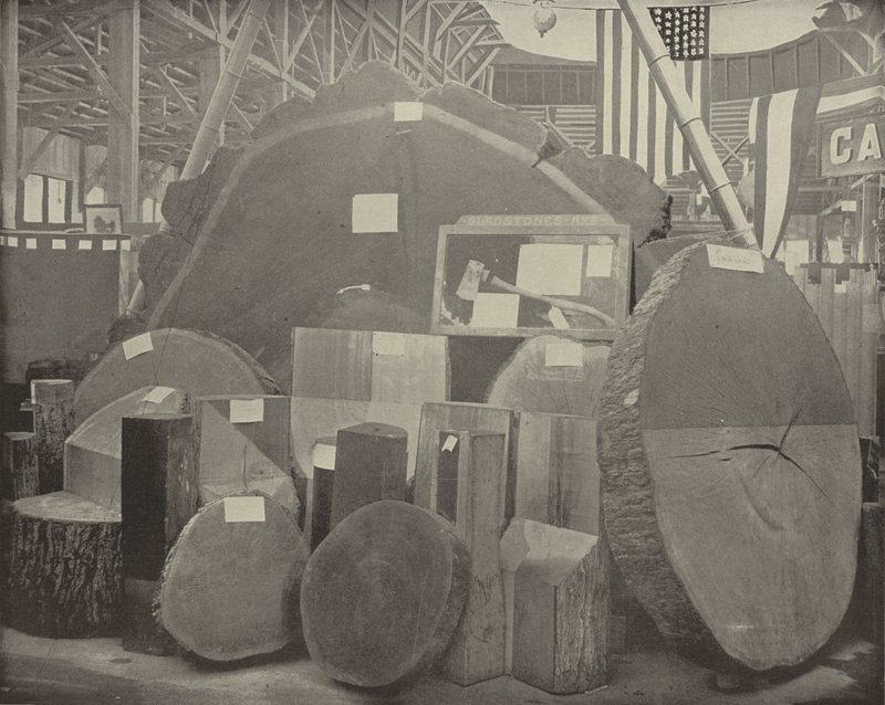 Gladstones Axt von American Photographer