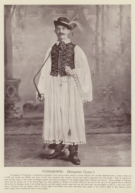 Posnabornu, Ungarischer Zigeuner von American Photographer