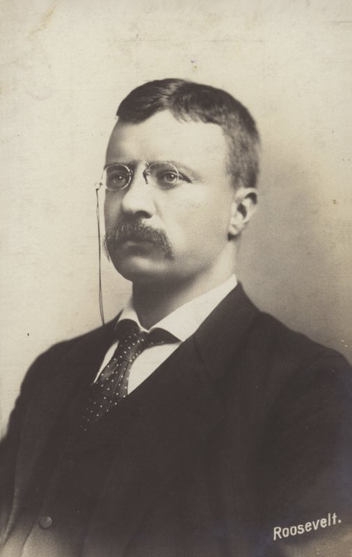Roosevelt von American Photographer