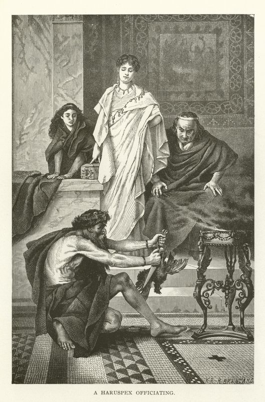 Ein Haruspex bei der Arbeit von American School