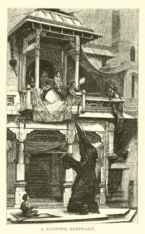 Ein kluger Elefant von American School