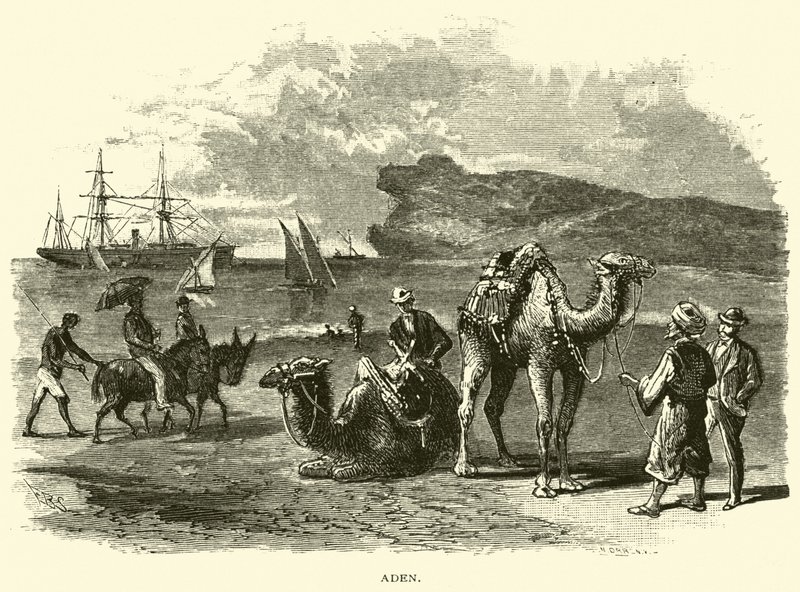 Aden von American School