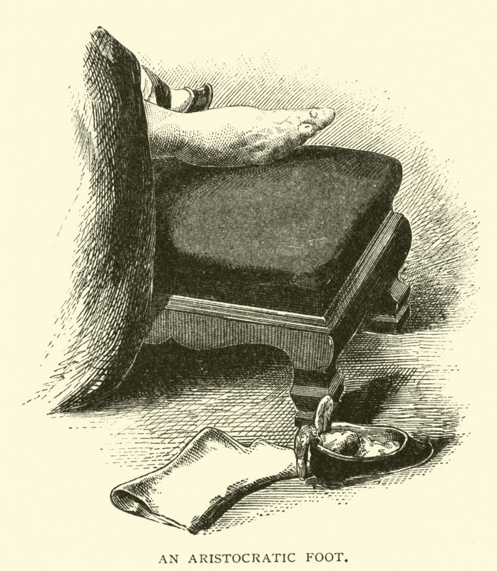 Ein aristokratischer Fuß von American School