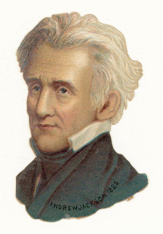 Andrew Jackson von American School