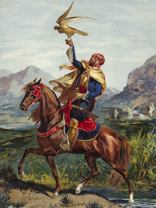 Arabischer Reiter mit Falke von American School