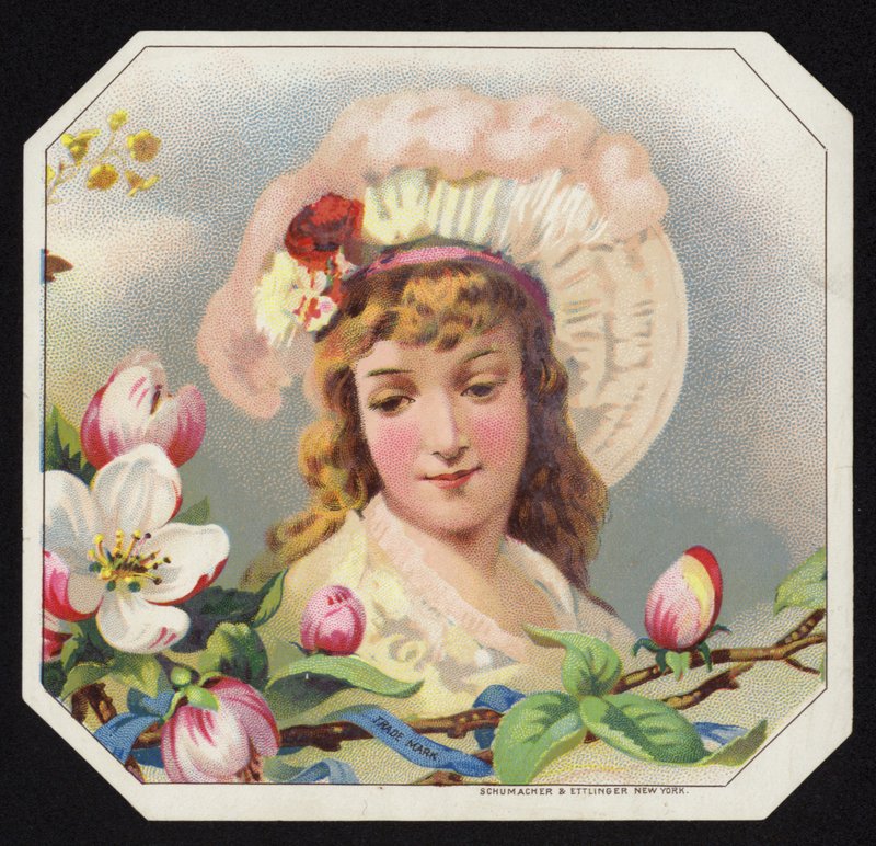 Attraktive Dame von American School