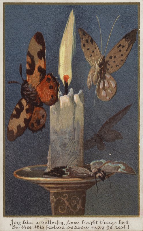 Schmetterlinge um eine brennende Kerze von American School