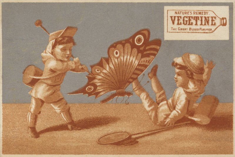 Kinder mit riesigem Schmetterling von American School