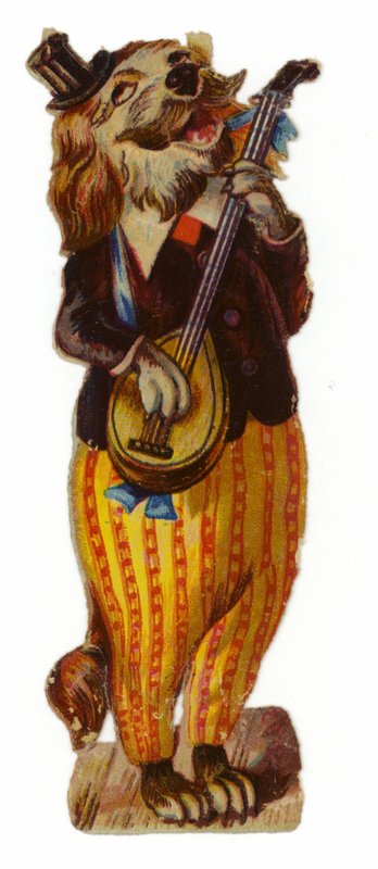 Hund in Kleidung von American School