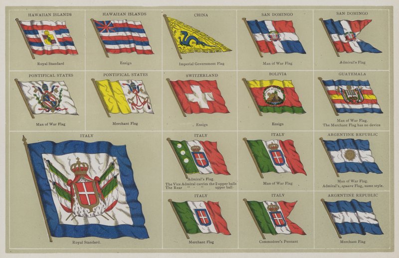 Flaggen von American School