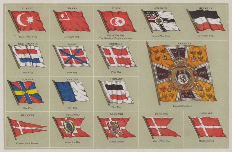 Flaggen von American School
