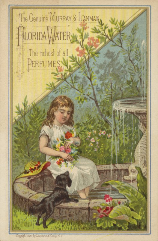 Florida Wasser von American School