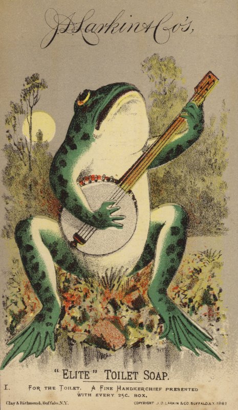 Frosch spielt Banjo von American School