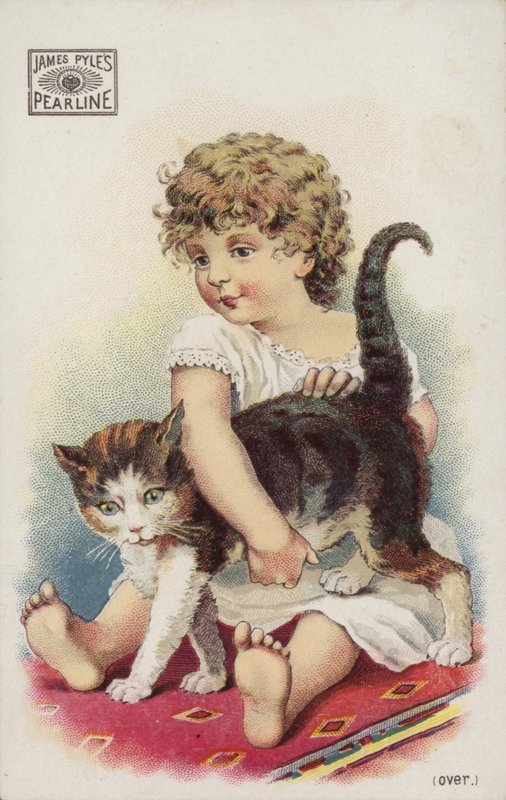 Mädchen spielt mit Katze auf Teppich von American School