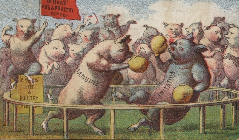 Schweine im Boxring von American School