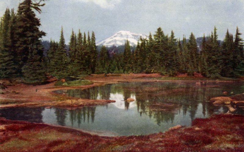 In den Oregon-Bergen von American School