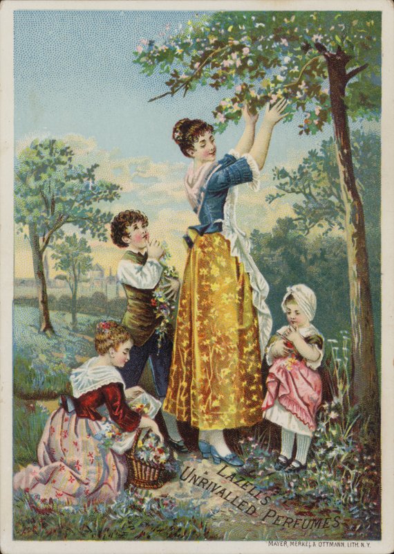 Lazells von American School
