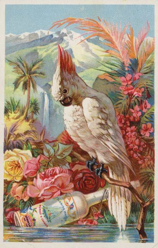 Ara sitzt mit Flasche von American School