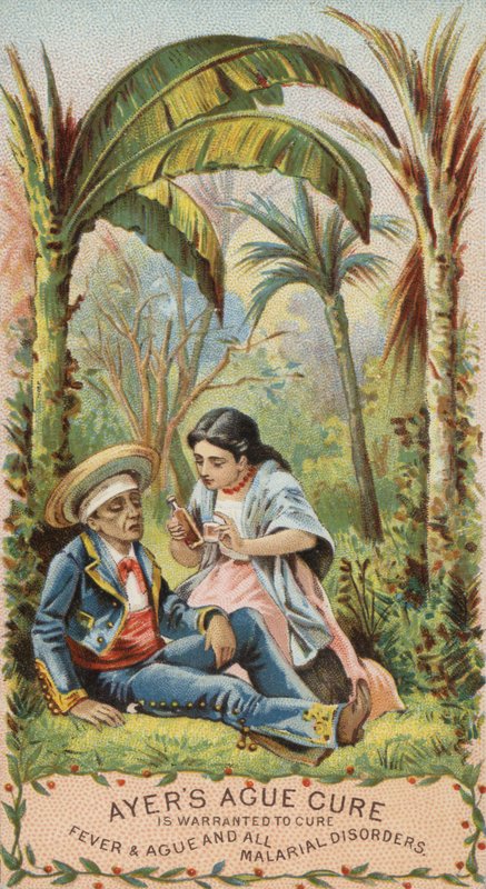Mann mit Malaria von American School