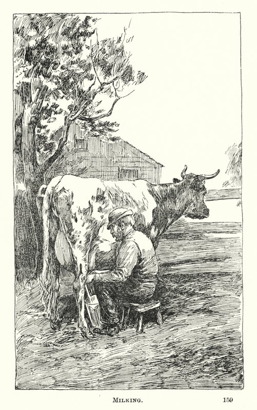 Melken von American School