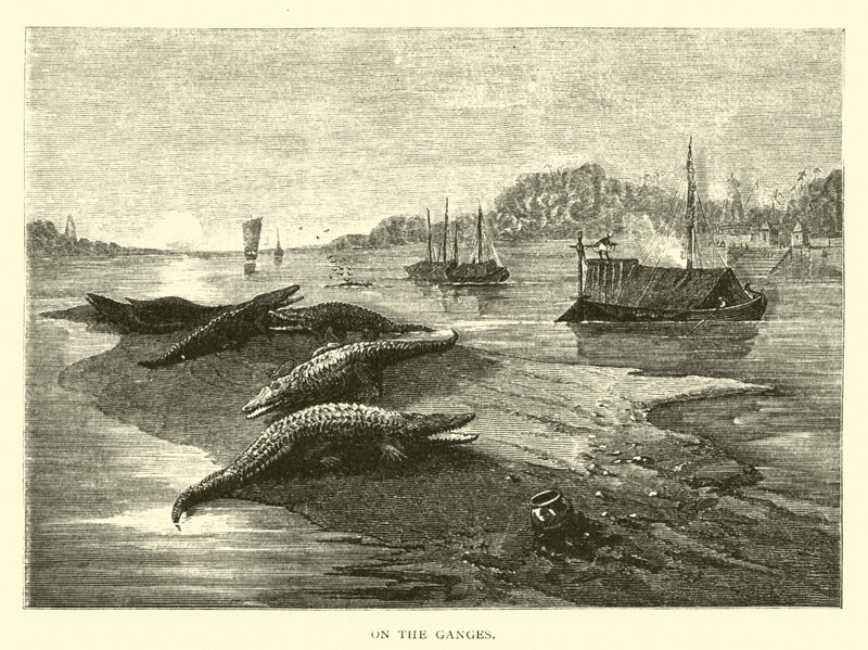 Am Ganges von American School