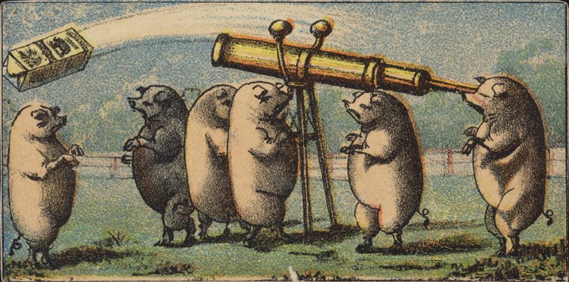 Sternguckende Schweine von American School