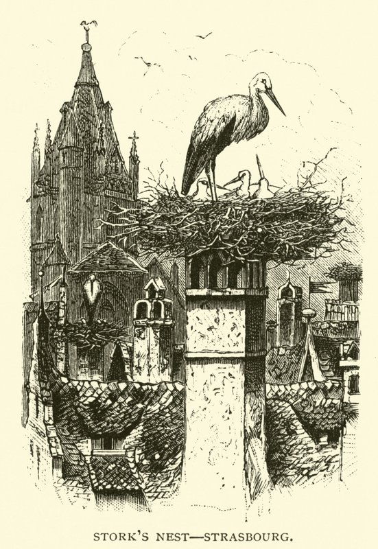 Storchennest, Straßburg von American School